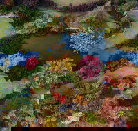 Glenrock Gardens Open Garden - Holiday Jervis Bay