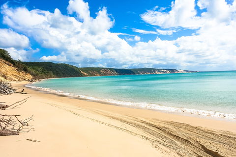 Longreach Leg - Beach To Reach 2020 - Holiday Jervis Bay 2