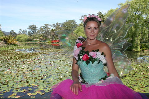 Lotus Flower Season - Holiday Jervis Bay 2