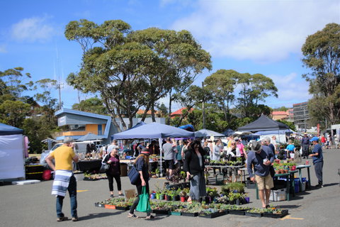 Marine Rescue Ulladulla Wharf Markets - Holiday Jervis Bay 1
