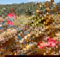 Mini Muddies Obstacle Challenge at Bunnamagoo Estate - Holiday Jervis Bay