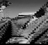 Music in the Gardens - Mitch King - Holiday Jervis Bay