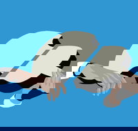 Petrenko's Shostakovich - Morning Symphony