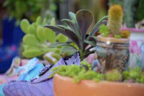 QCWA Sunday Markets - Holiday Jervis Bay 1