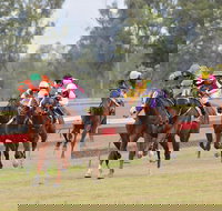 Thangool Races