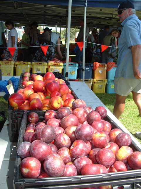 The Farmers Market On Manning - Holiday Jervis Bay 0