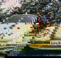 Tucker Box Bash - Holiday Jervis Bay