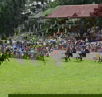 Tumut Boxing Day Races - Holiday Jervis Bay