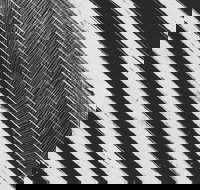 WA Now  Tom Mller Monolith Scores