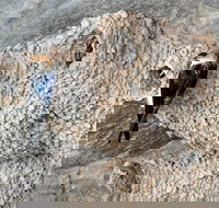 2020 Katherine Bird Festival - Holiday Jervis Bay