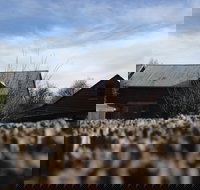 Bothwell SpinIN 2021