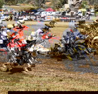 Dust Hustle Queensland Moto Park - Holiday Jervis Bay