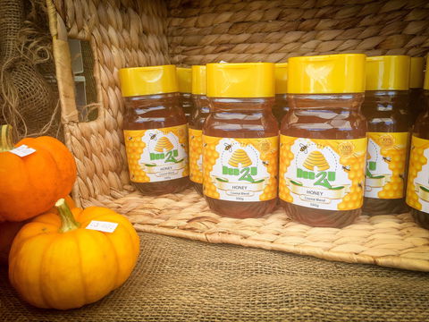 Greater Whitsunday Farmers Markets - Holiday Jervis Bay 1