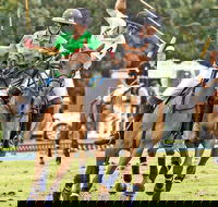 Land Rover Polo in the City - Holiday Jervis Bay