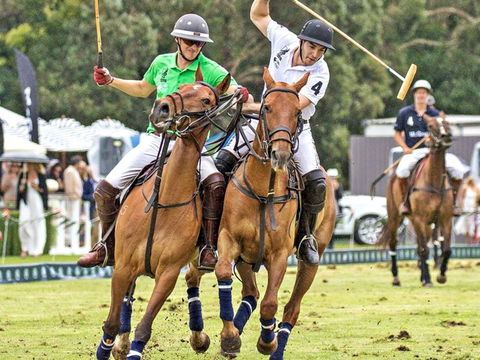 Land Rover Polo In The City - Holiday Jervis Bay 0