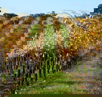 Miners Ridge Wine Tasting - Holiday Jervis Bay