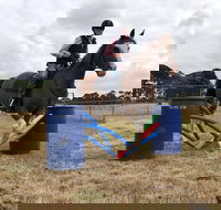 Rouse Roundup - Holiday Jervis Bay