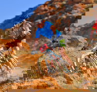 The Redback - Holiday Jervis Bay