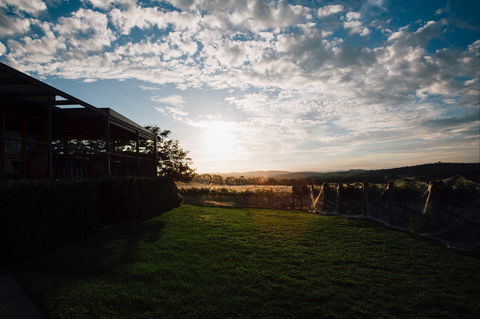 Weekly Truffling At Contentious - Holiday Jervis Bay 0