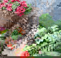 Ma Ma Creek Markets - Holiday Jervis Bay