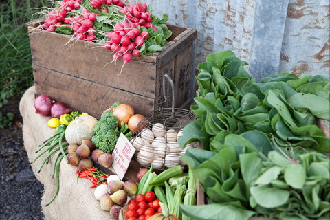 Ma Ma Creek Markets - Holiday Jervis Bay 0