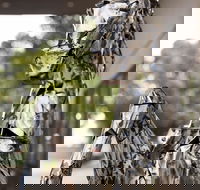 Best Western Sanctuary Inn - Holiday Jervis Bay