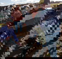 Hunter Valley Resort - Holiday Jervis Bay