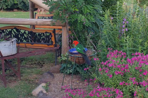 Birdhouse Cottage B & B - Holiday Jervis Bay 3