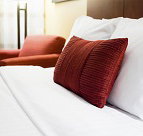 Rainforest Grove Holiday Resort - Holiday Jervis Bay