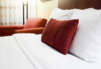 Schaanwald Bed & Breakfast - Holiday Jervis Bay 0