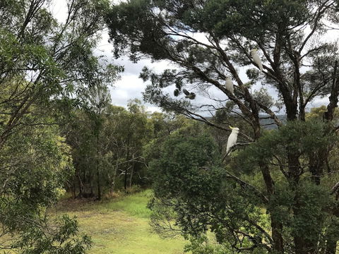 Kookaburra Retreat - Holiday Jervis Bay 5