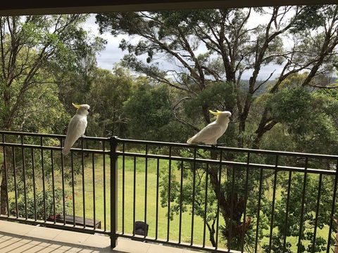 Kookaburra Retreat - Holiday Jervis Bay 4