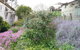 Alvie Cottage - thumb 1