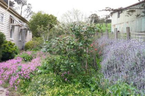 Alvie Cottage - Holiday Jervis Bay 1