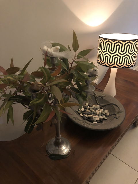 Gumnut Grove The Vintage - Holiday Jervis Bay 5