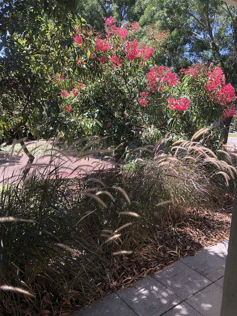Gumnut Grove The Vintage - Holiday Jervis Bay 2