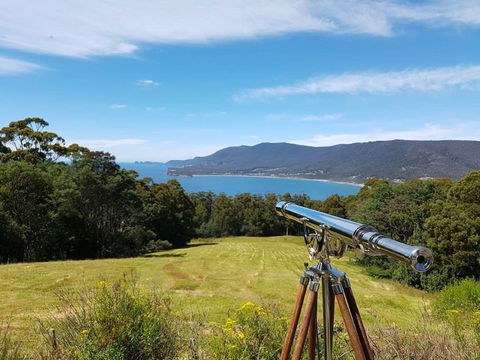 Eaglehawk Rainforest Retreat - Holiday Jervis Bay 0