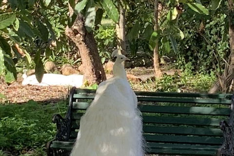 Bungala House 1856 - Holiday Jervis Bay 4