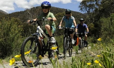 Poley Cow Studio - Holiday Jervis Bay 4