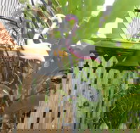 Seaside Hideaway at Clifton Beach - Holiday Jervis Bay