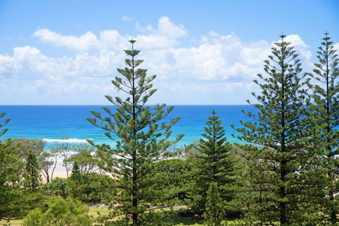 South Pacific Dream Central Broadbeach - Holiday Jervis Bay 2