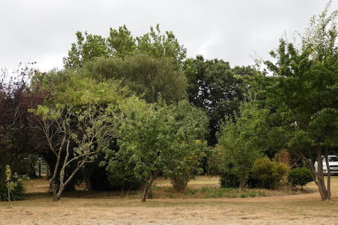 Somerset Caravan Park - Holiday Jervis Bay 4