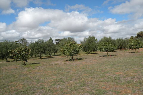 Thalia Getaway Villa - Holiday Jervis Bay 2