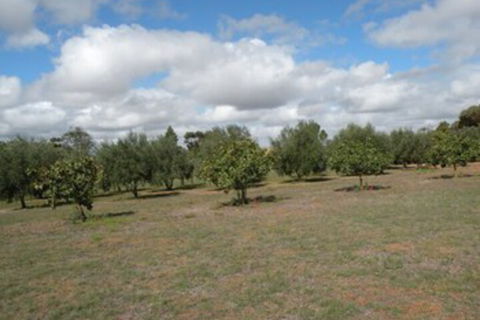 Thalia Getaway Villa - Holiday Jervis Bay 3