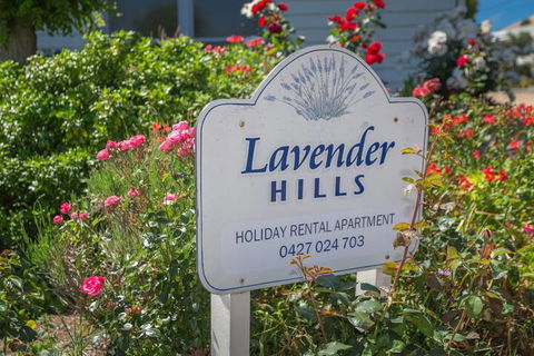 Lavender Hills 12 Bennett Street - Holiday Jervis Bay 7