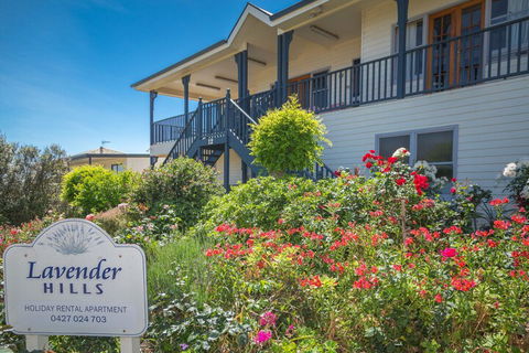 Lavender Hills 12 Bennett Street - Holiday Jervis Bay 3