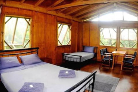 Daintree Rainforest Bungalows - Holiday Jervis Bay 5