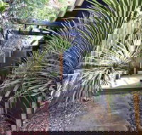 Lornebeach Apartments - Holiday Jervis Bay