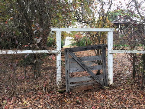 Historic Oak Hill House Estate Truffle Gourmet Festival Region - Holiday Jervis Bay 2