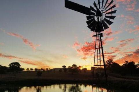 Milford Country Cottages - Holiday Jervis Bay 3